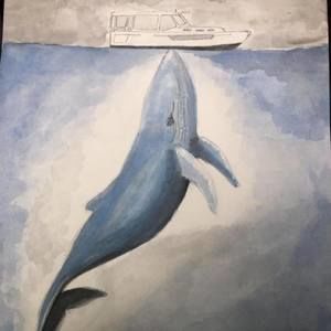 Meet your Posher, Leo